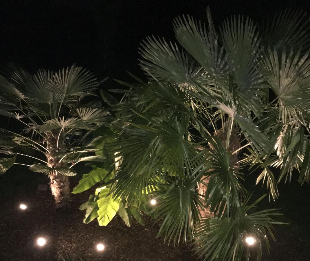 Ferienwohnung Palmengarten Lichtenstein  Eksteriør billede