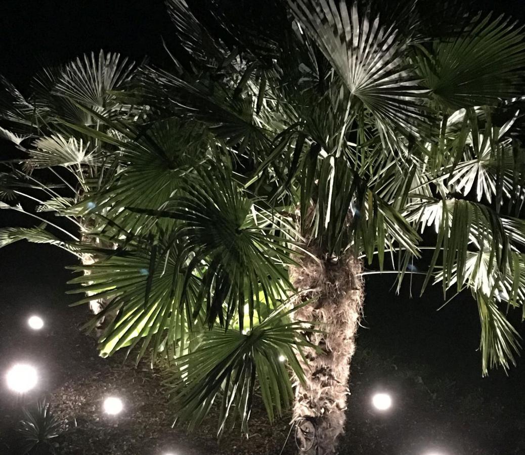 Ferienwohnung Palmengarten Lichtenstein  Eksteriør billede