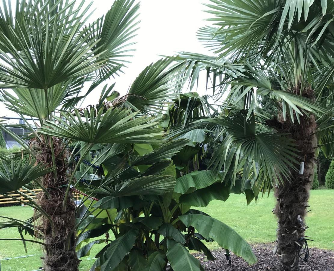 Ferienwohnung Palmengarten Lichtenstein  Eksteriør billede