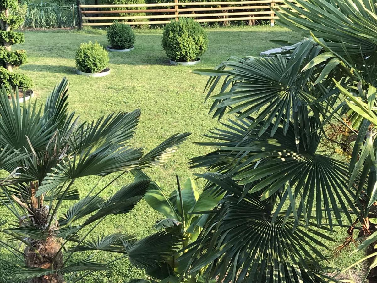 Ferienwohnung Palmengarten Lichtenstein  Eksteriør billede