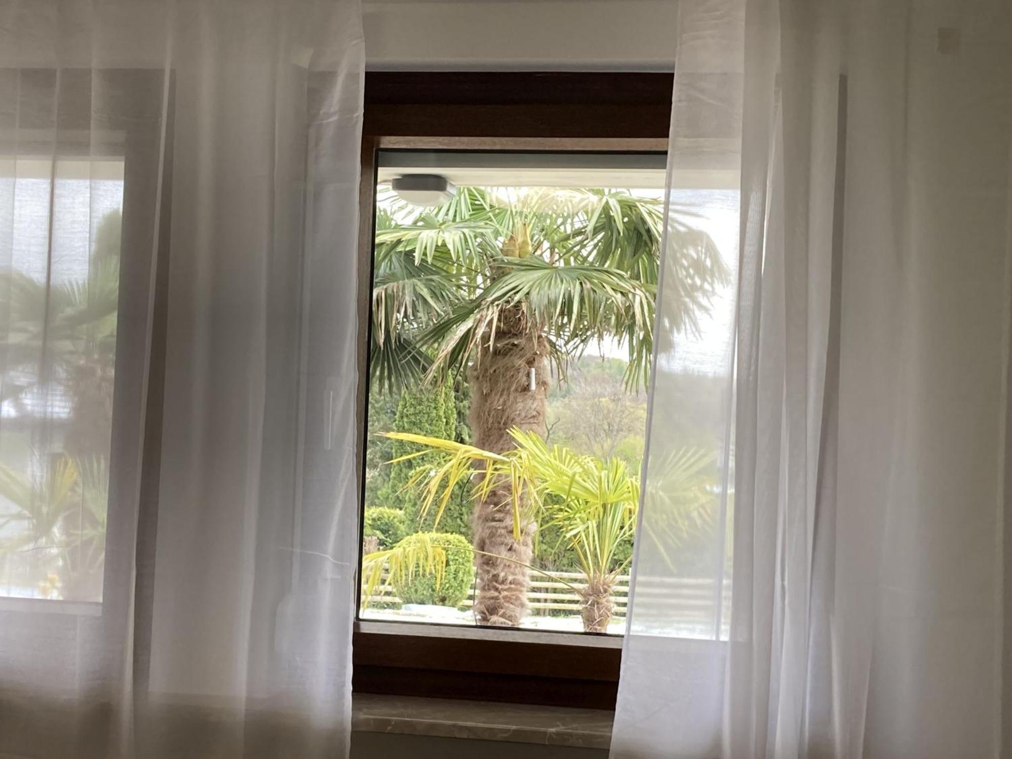 Ferienwohnung Palmengarten Lichtenstein  Eksteriør billede